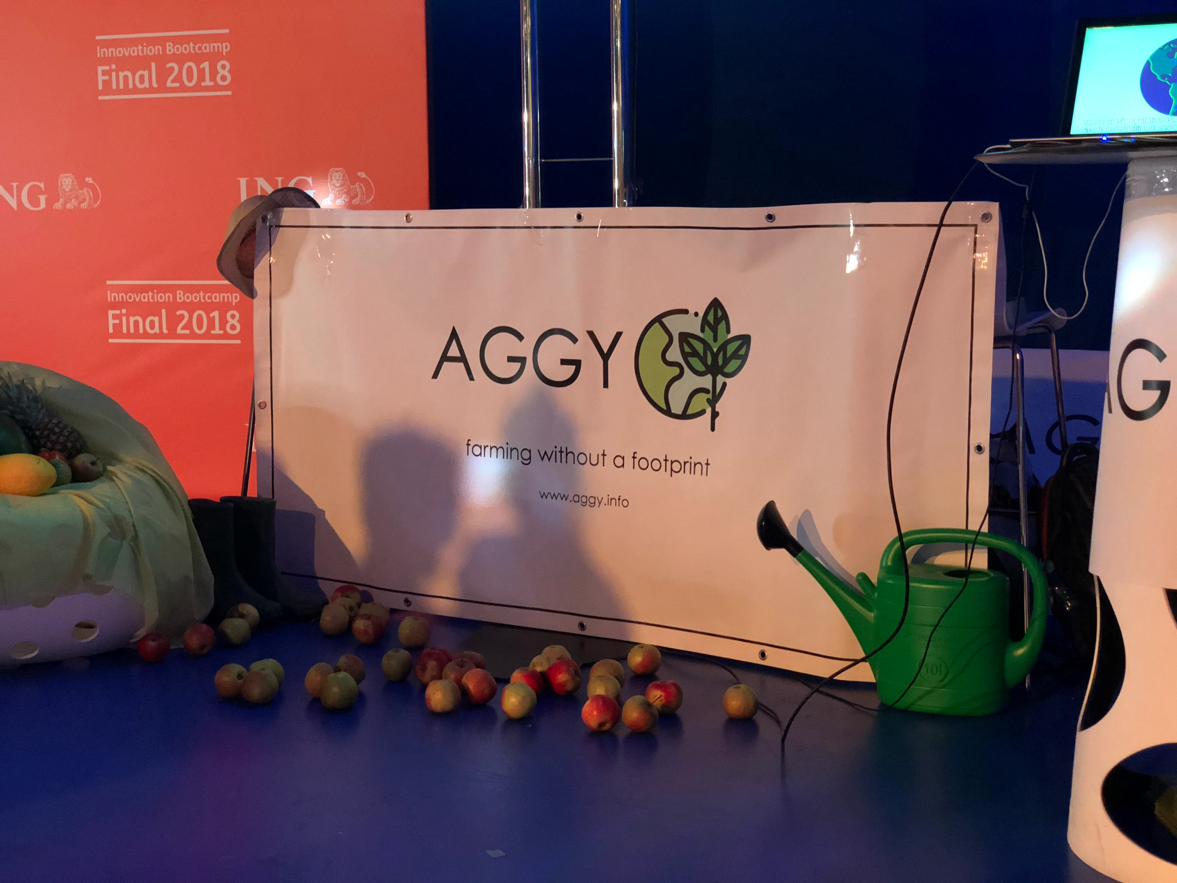 Aggy stall with branding and display